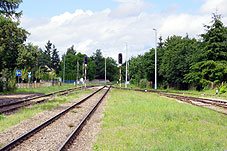 min 100 11.jpg min 100 11.jpg